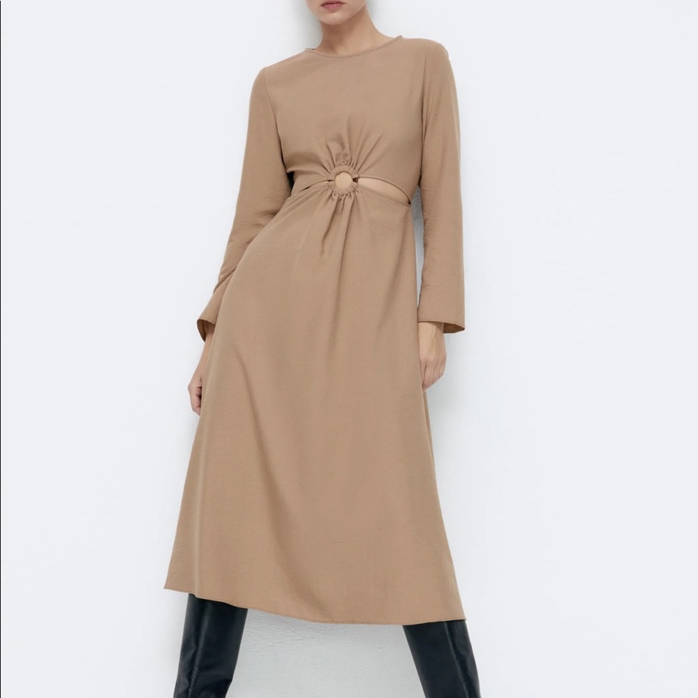 NWT Zara Dress